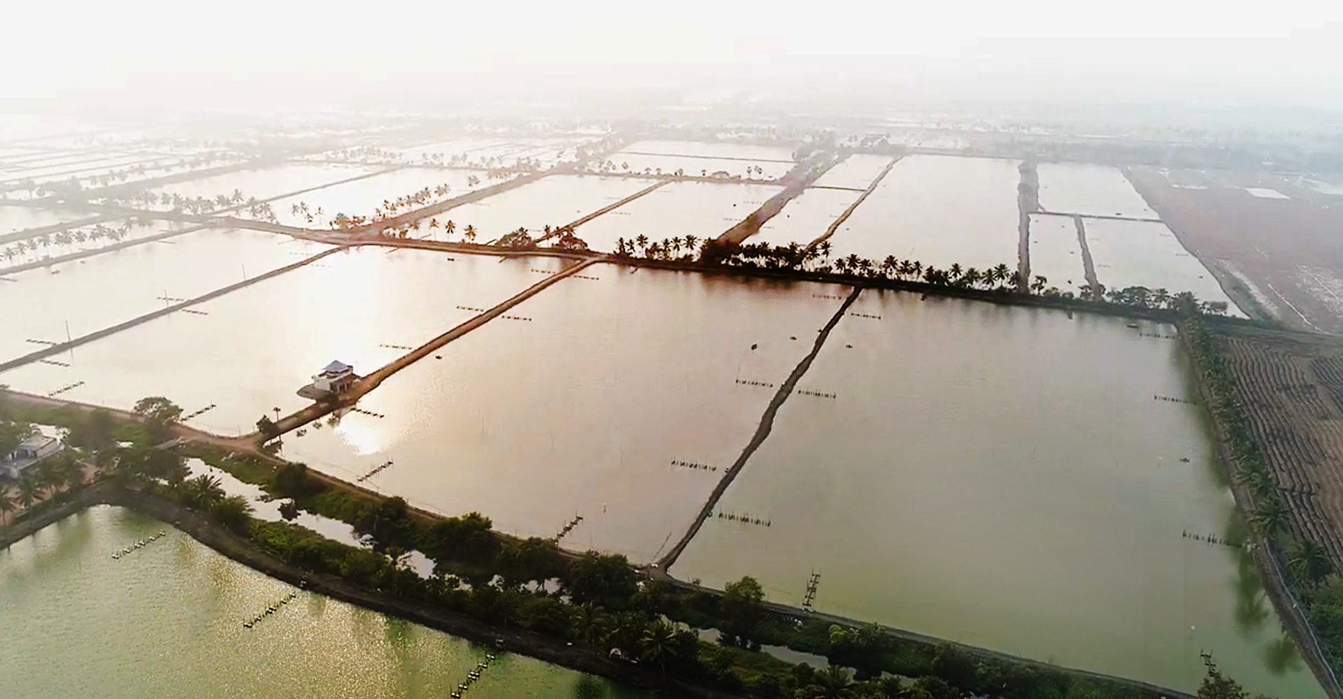 Aquaculture Feed Companies India Aquafeed Supplier APQA