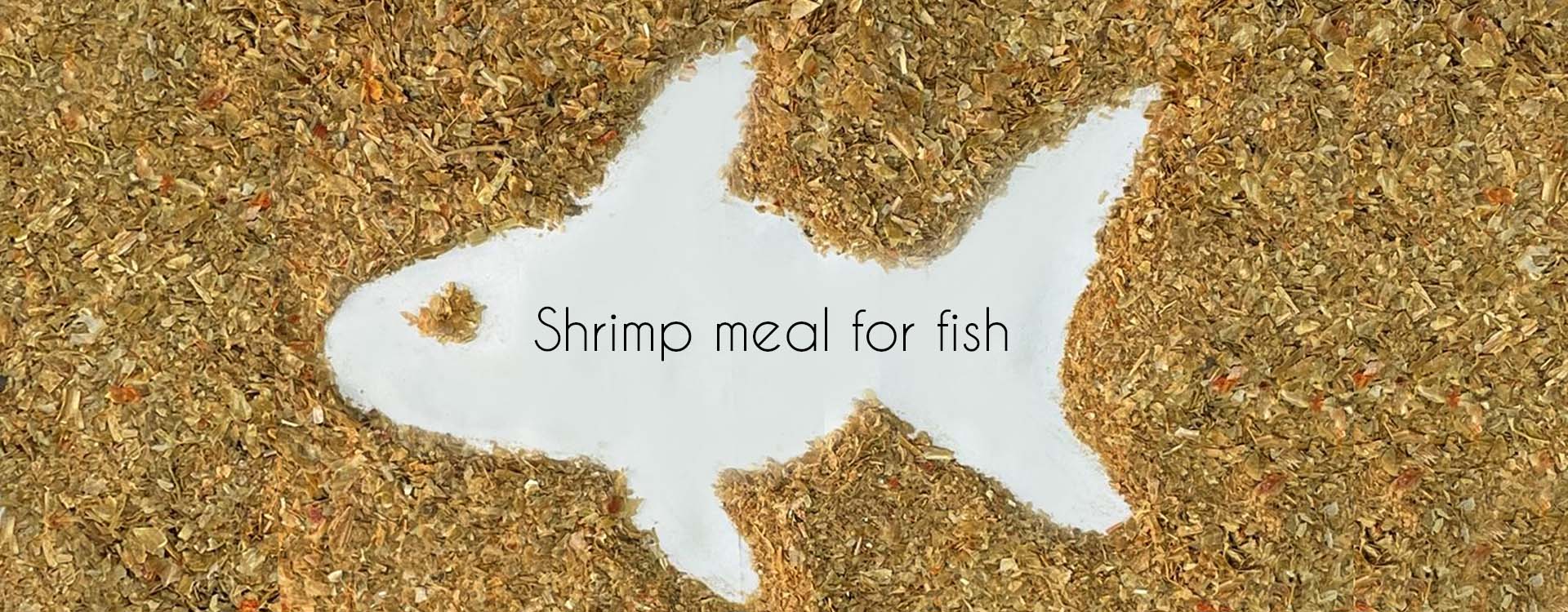 Fish Feed Shrimp Meal