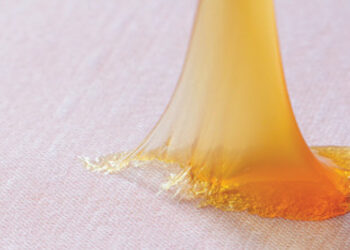 Chitosan-based-bioadhesives Chitosan Bioadhesives