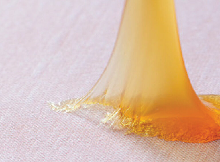 Chitosan-based-bioadhesives Chitosan Bioadhesives