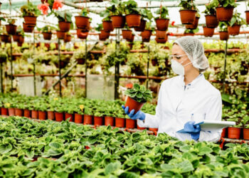 Chitosan-for-horticulture Chitosan for horticulture