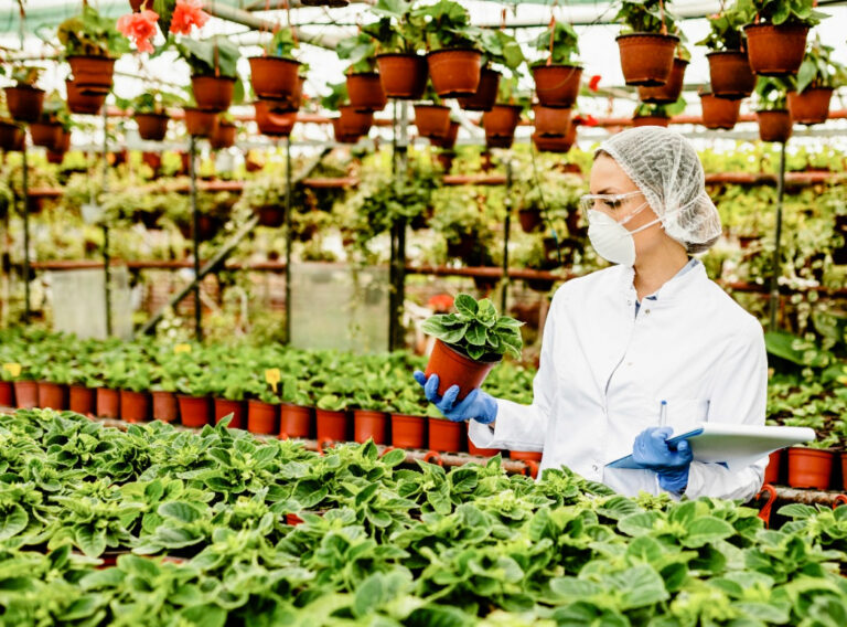 Chitosan-for-horticulture Chitosan for horticulture