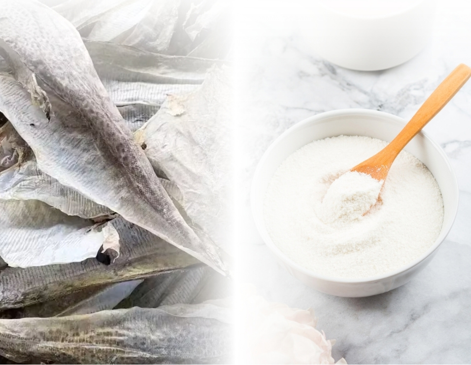 Transforming Seafood Waste into Sustainable, High-Value Ingredients