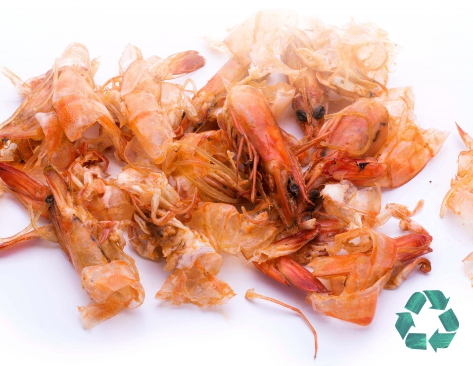 APQA: Certified, Traceable and Sustainable Marine By-Products