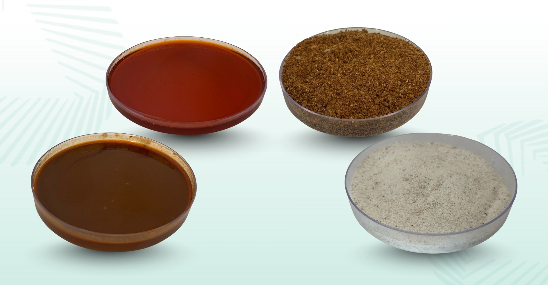 Shrimp-Based Products